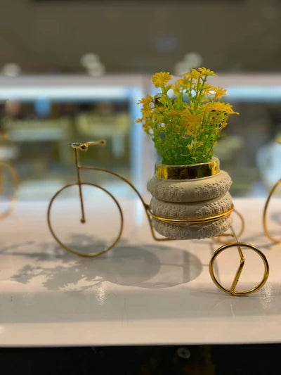 Minimalist Cycle Decor With Planter