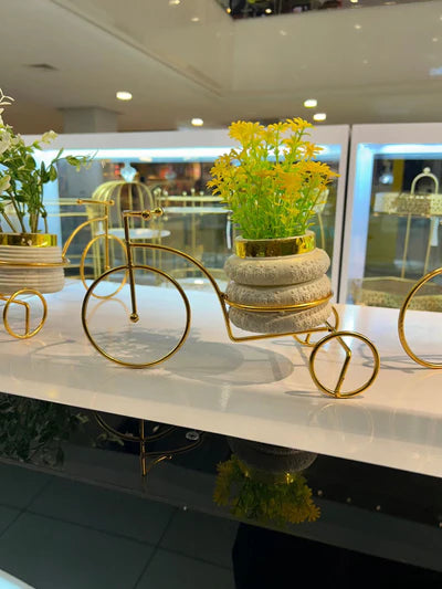 Minimalist Cycle Decor With Planter