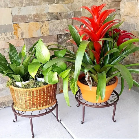 Rust-Proof Metal Floor Stand Plant Rack - Indoor/Outdoor,