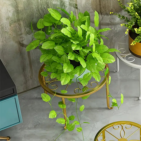 Rust-Proof Metal Floor Stand Plant Rack - Indoor/Outdoor,